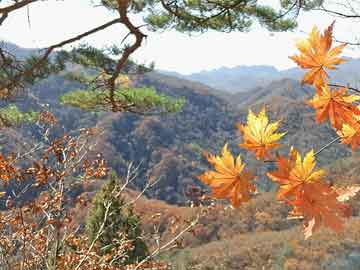 澳門一肖一碼100‰,數(shù)據(jù)解析設(shè)計(jì)導(dǎo)向_挑戰(zhàn)款90.992