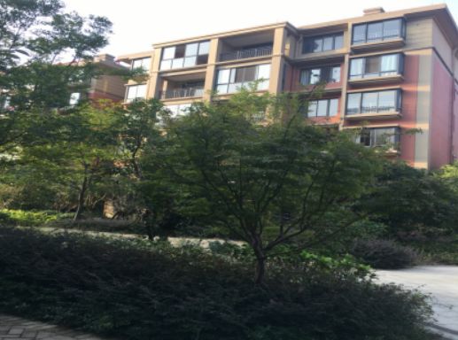 黎塘最新二手房屋出售，探索優(yōu)質(zhì)房源與購房攻略