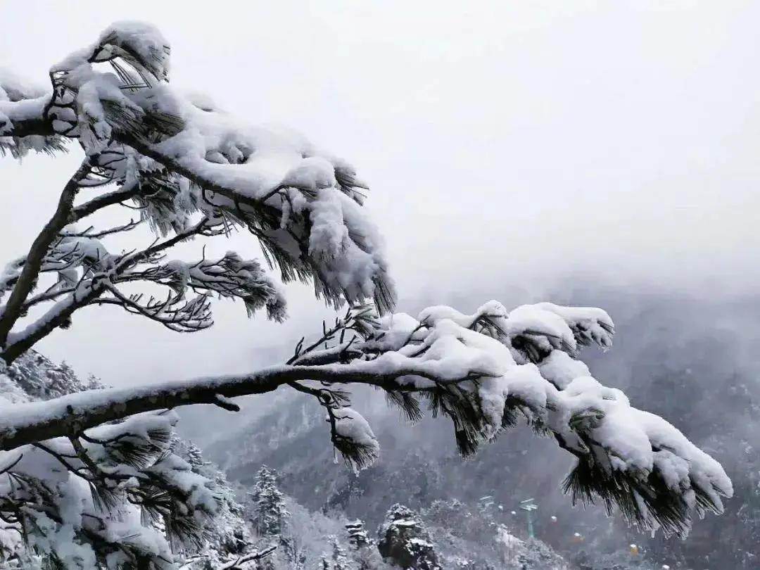 陜西最新雪景，冬日里的詩意畫卷